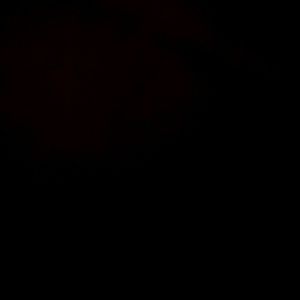 Meet your Posher, Dane